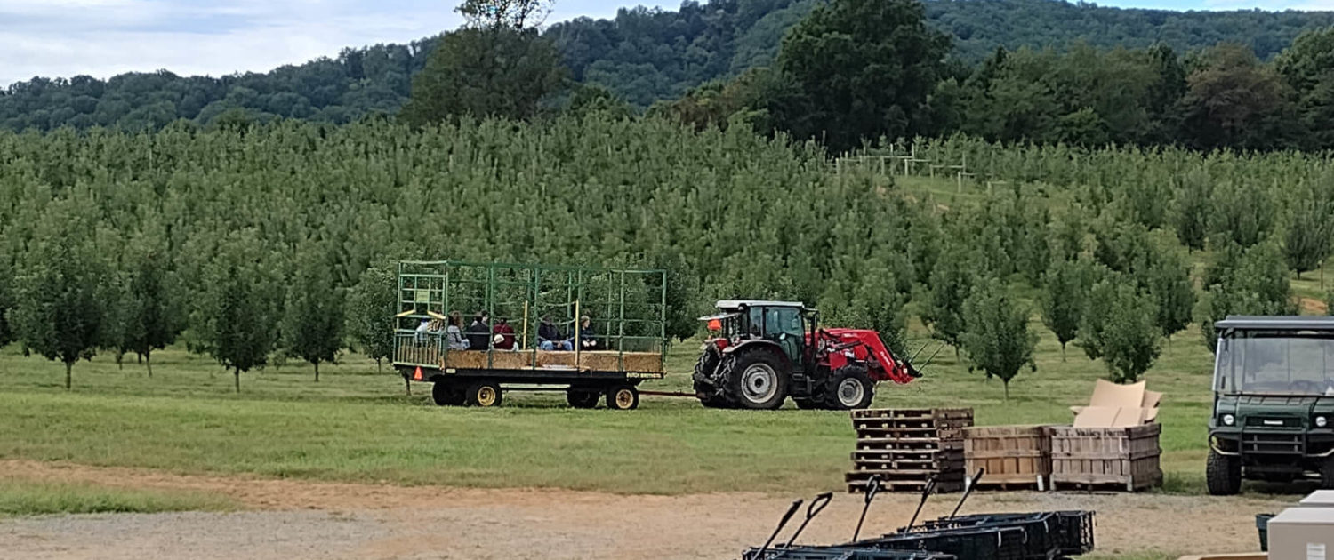 Rappahannock County Farm Tour