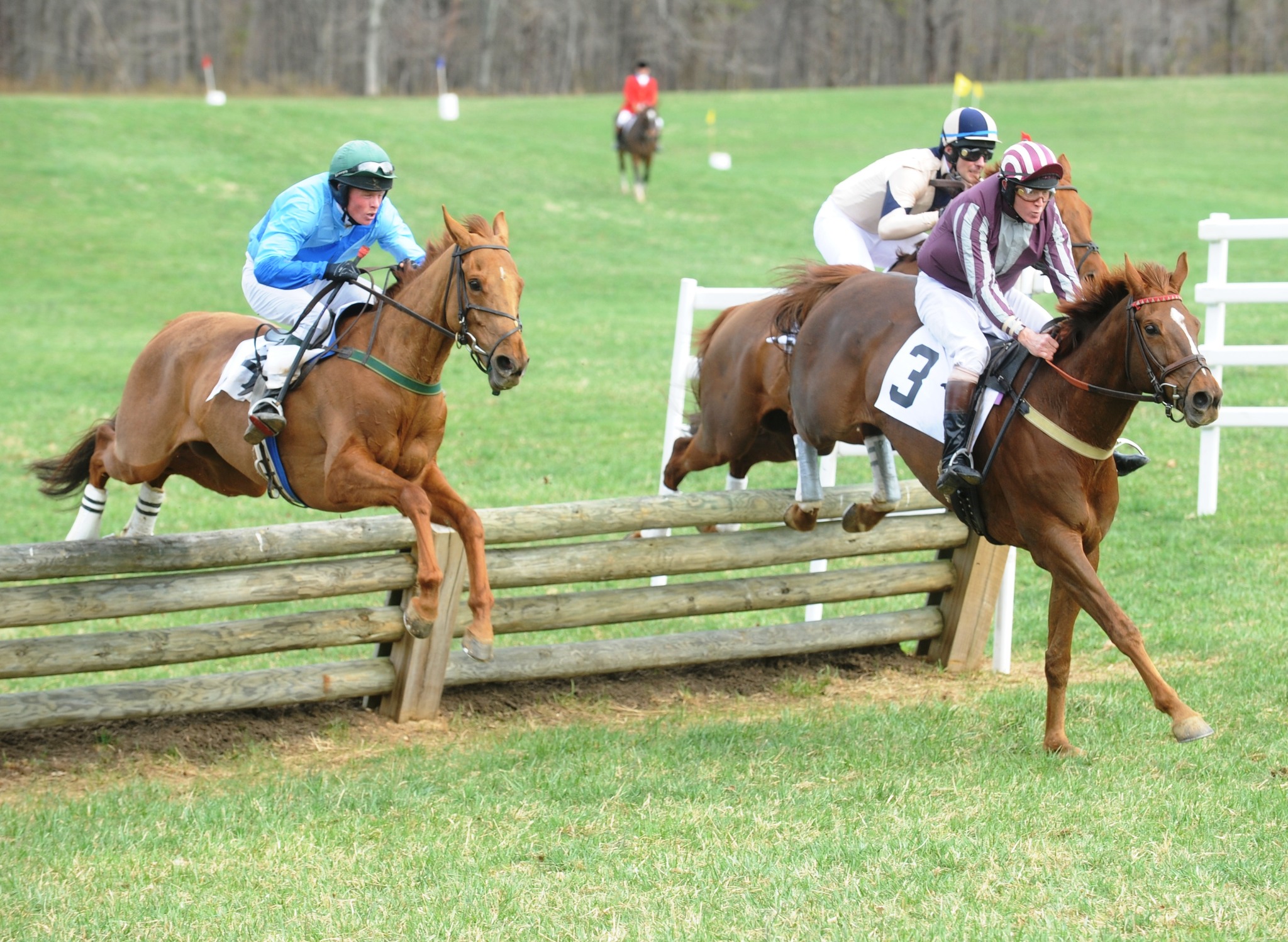 Old Dominion Hounds Point-to-Point Races