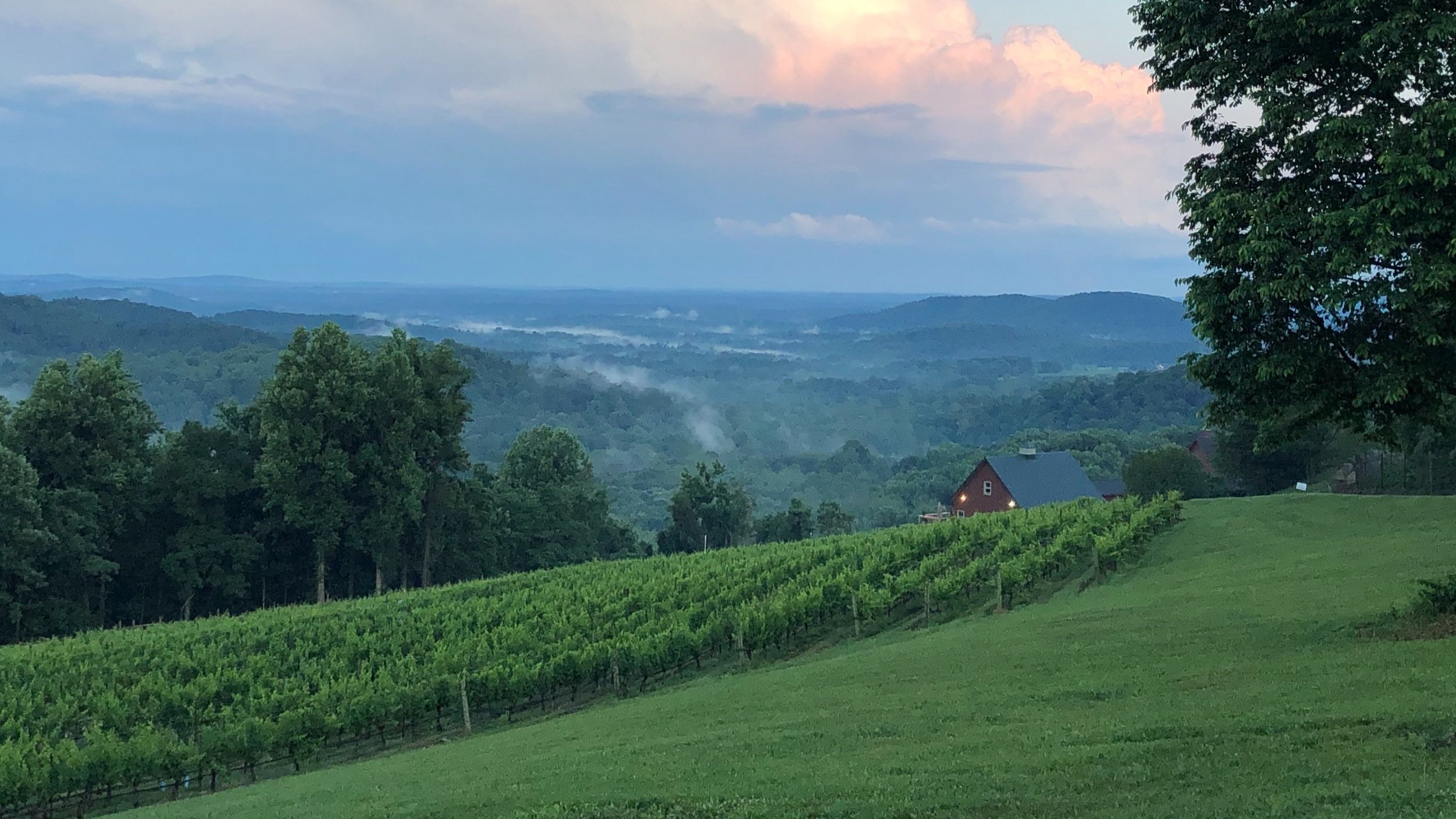 Chester Gap Cellars