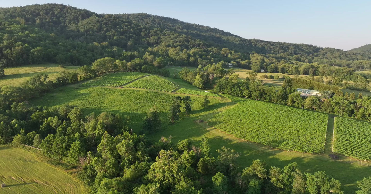 Quièvremont Vineyard & Winery