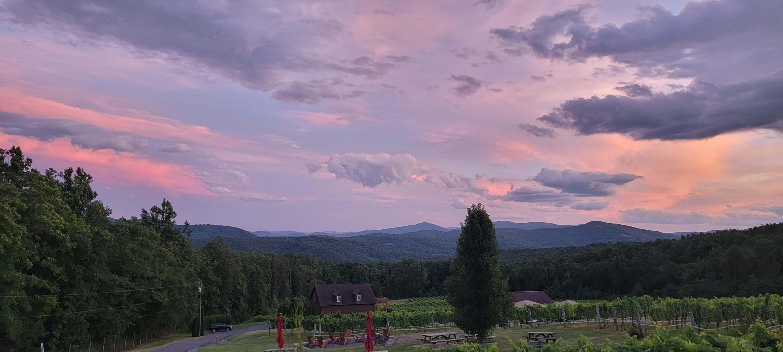 Fox Meadow Vineyards