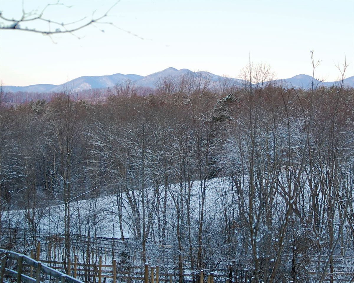 Revalation Vineyards