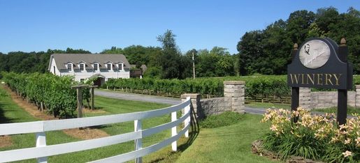 Gray Ghost Vineyards